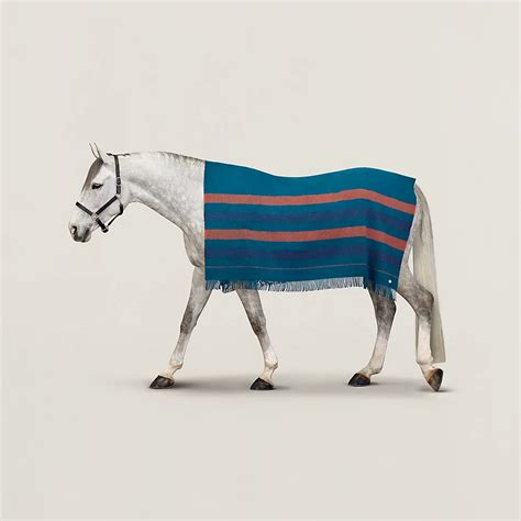 hermes rocabar blanket|Hermes.